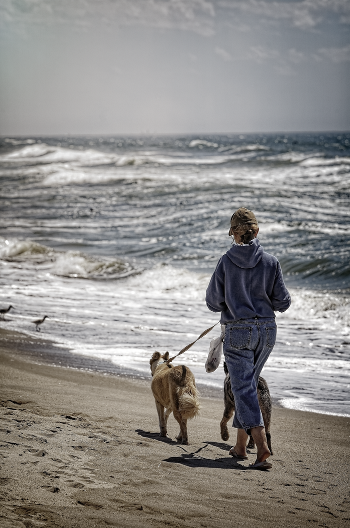 A woman strolling with two dogs on a sandy beach by the ocean, enjoying the waves.
