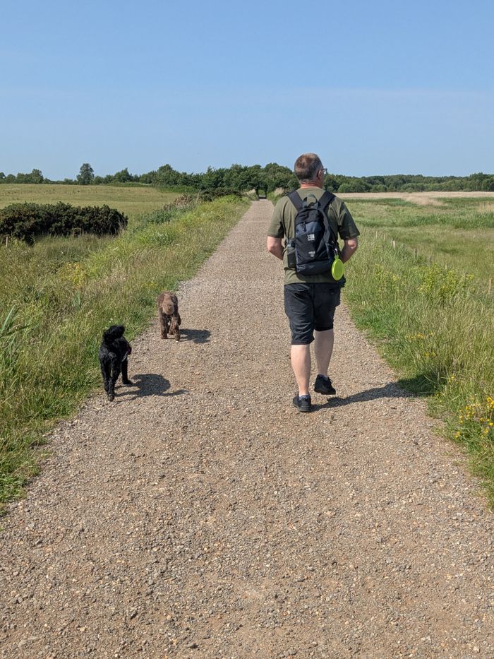 services-05 A man with two dogs walking on a sunny rural path, perfect for nature enthusiasts.